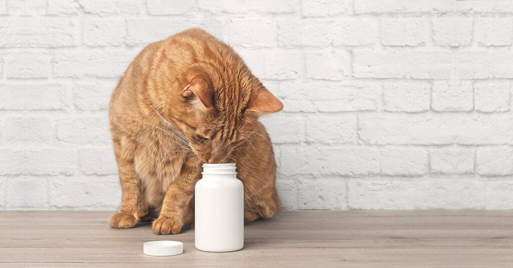How Pet Supplements Are Made