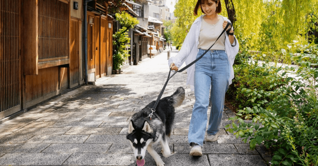 Pet Business Ideas to Consider Dog Walking