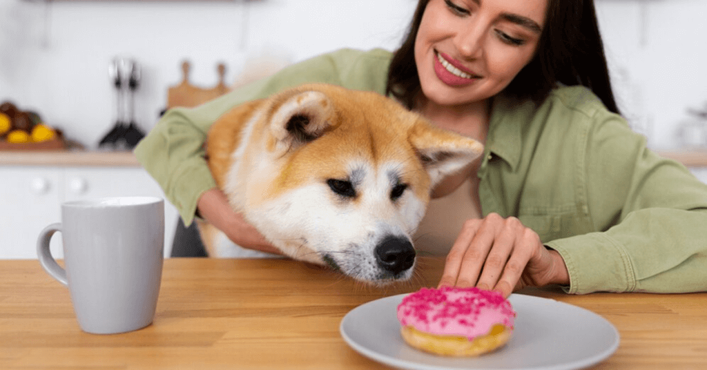 Pet Business Ideas to Consider Pet Bakery