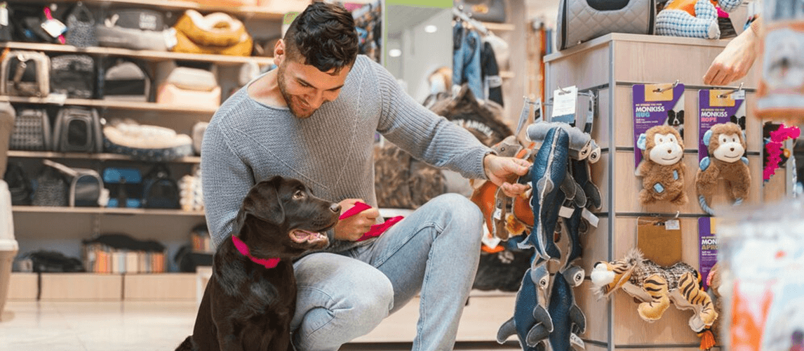 15 Profitable Pet Business Ideas in 2025