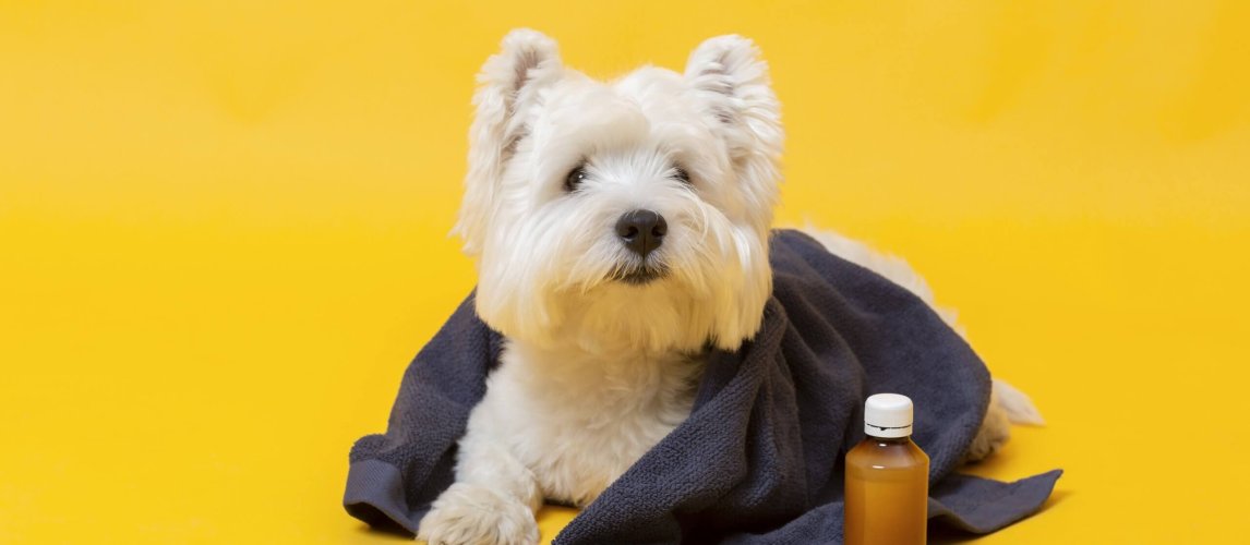 Do You Need A License To Sell Pet Supplements