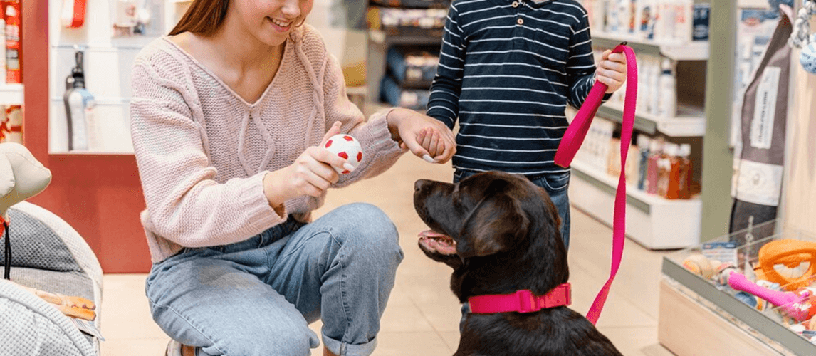 How To Start A Pet Business